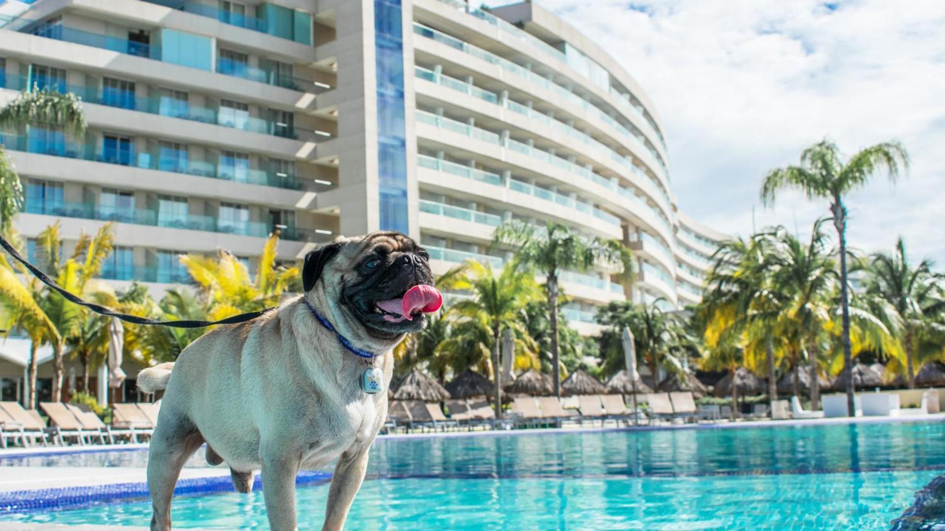 Palacio Mundo Imperial Riviera Diamante Acapulco Exteriér fotografie Millyard at the Hard Rock Hotel in Cancun